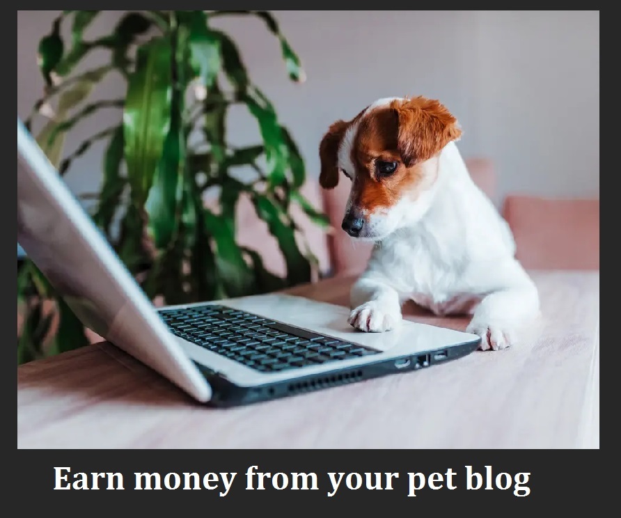 earn money from your pet blog today