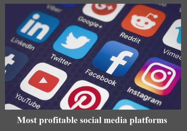 Most profitable social media platforms on 2022